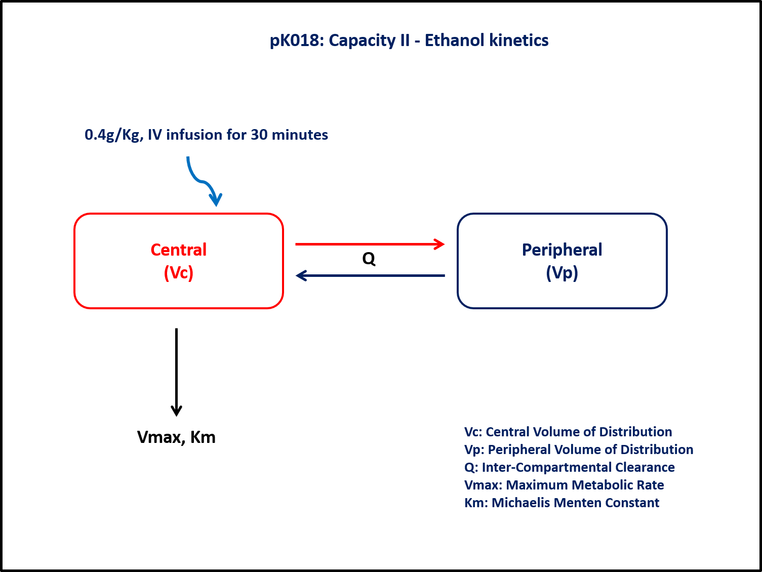 Ethanol Kinetics Graphic Model